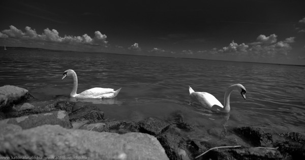 _KLL6993_LR_1_LR